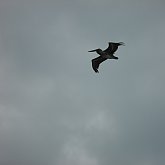 Flying deep